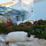 Stella's traditional house.