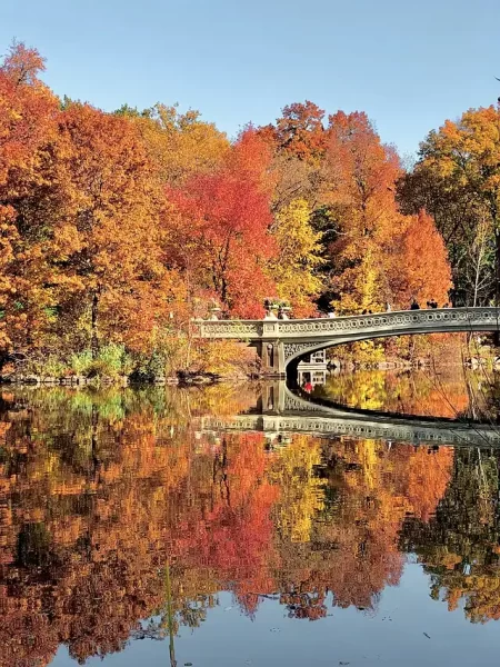 NYC Foliage Cruises