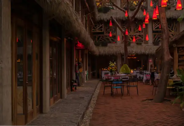 Nightlife and Entertainment Venues