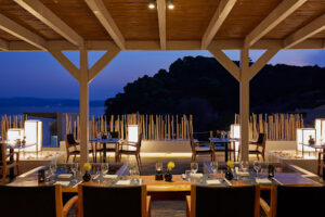 Hagoromo - Meat Elements Restaurant