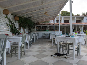 Cookoonari Restaurant